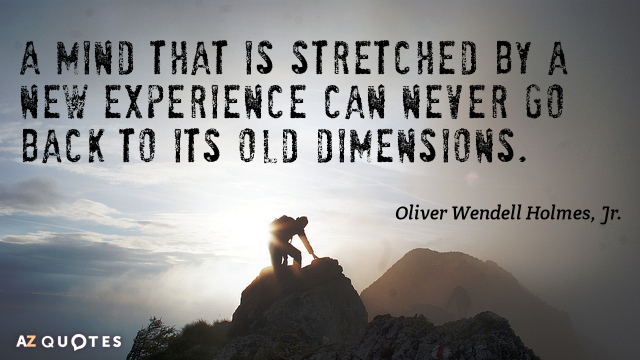 Oliver Wendell Holmes, Jr. quote: A mind that is stretched by a new experience can never...