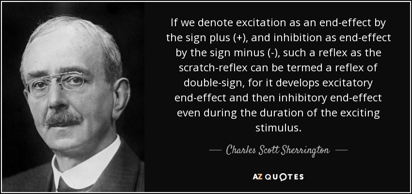If we denote excitation as an end-effect by the sign plus (+) - quote-if-we-denote-excitation-as-an-end-effect-by-the-sign-plus-and-inhibition-as-end-effect-charles-scott-sherrington-126-74-43