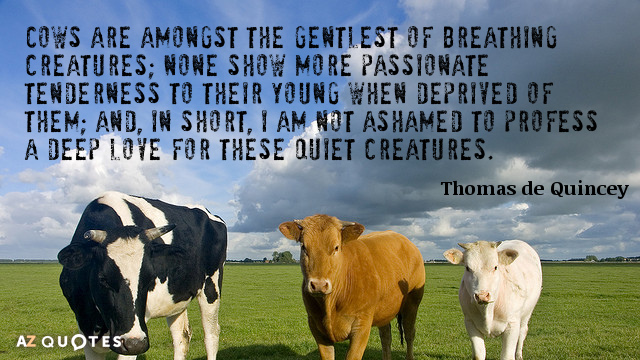 TOP 25 COWS QUOTES (of 749) | A-Z Quotes