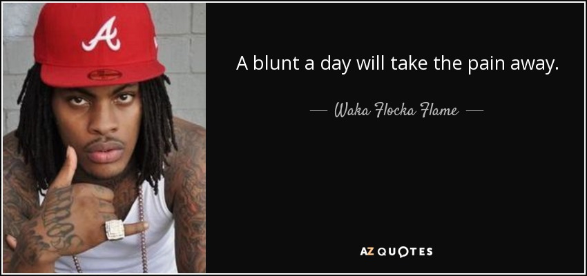 A blunt a day will take the pain away. - Waka Flocka Flame
