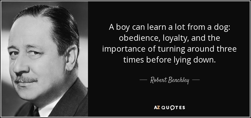 A boy can learn a lot from a dog: obedience, loyalty, and the importance of turning around three times before lying down. - Robert Benchley