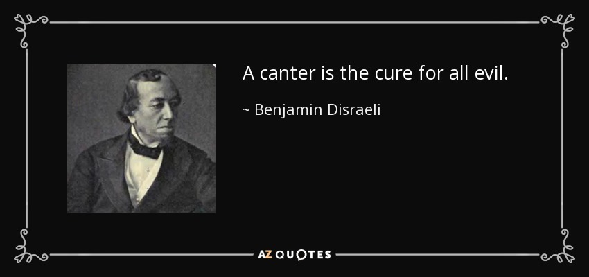 A canter is the cure for all evil. - Benjamin Disraeli