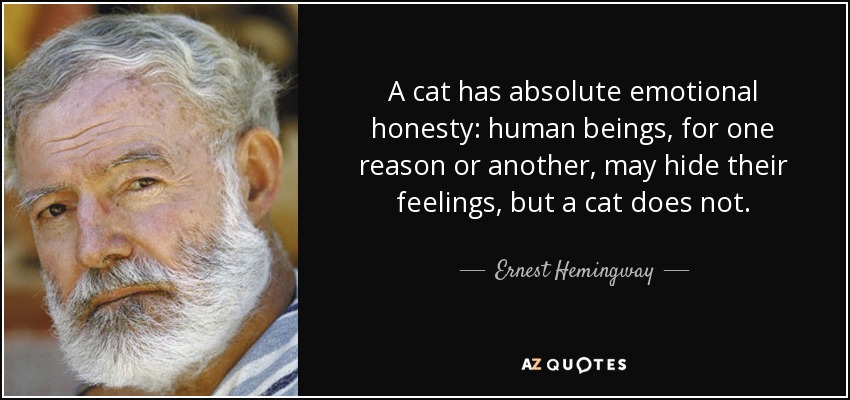 A cat has absolute emotional honesty: human beings, for one reason or another, may hide their feelings, but a cat does not. - Ernest Hemingway