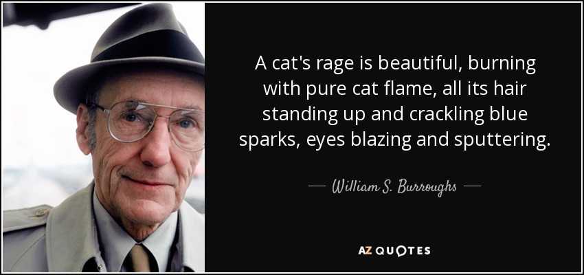 A cat's rage is beautiful, burning with pure cat flame, all its hair standing up and crackling blue sparks, eyes blazing and sputtering. - William S. Burroughs