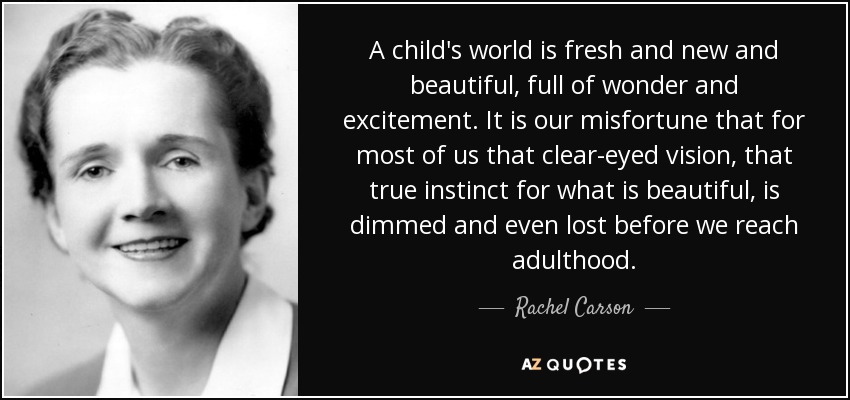 A child's world is fresh and new and beautiful, full of wonder and excitement. It is our misfortune that for most of us that clear-eyed vision, that true instinct for what is beautiful, is dimmed and even lost before we reach adulthood. - Rachel Carson
