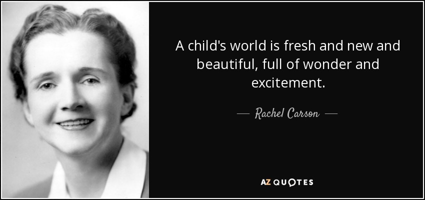 A child's world is fresh and new and beautiful, full of wonder and excitement. - Rachel Carson