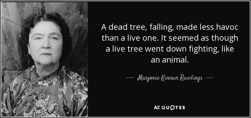 A dead tree, falling, made less havoc than a live one. It seemed as though a live tree went down fighting, like an animal. - Marjorie Kinnan Rawlings