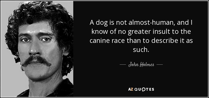 A dog is not almost-human, and I know of no greater insult to the canine race than to describe it as such. - John Holmes
