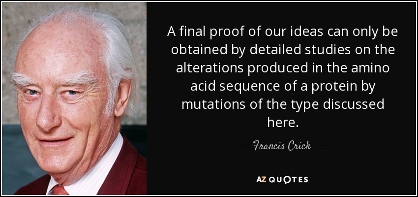 A final proof of our ideas can only be obtained by detailed studies on the alterations produced in the amino acid sequence of a protein by mutations of the type discussed here. - Francis Crick