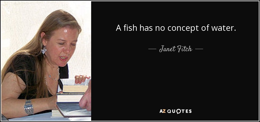 A fish has no concept of water. - Janet Fitch