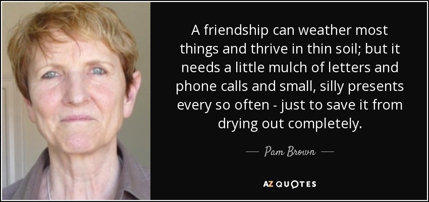 A friendship can weather most things and thrive in thin soil; but it needs a little mulch of letters and phone calls and small, silly presents every so often - just to save it from drying out completely. - Pam Brown