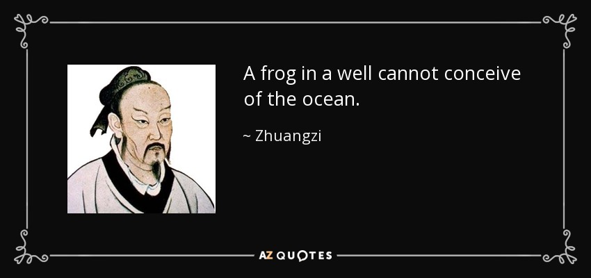 A frog in a well cannot conceive of the ocean. - Zhuangzi