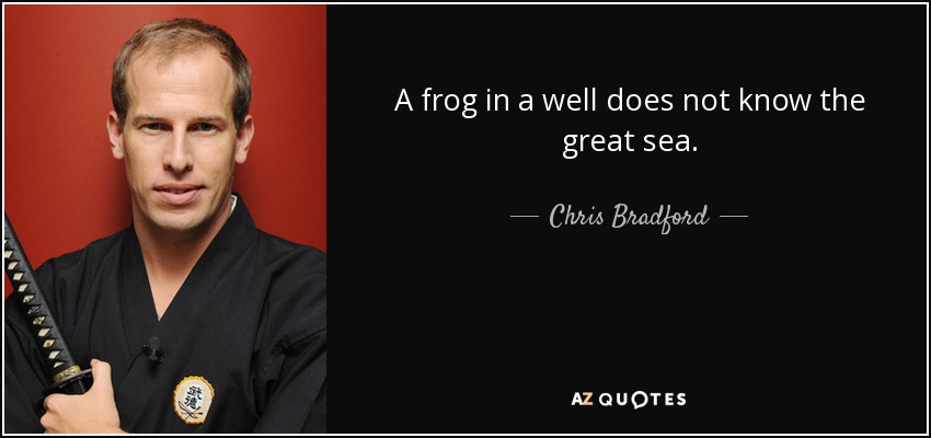 A frog in a well does not know the great sea. - Chris Bradford