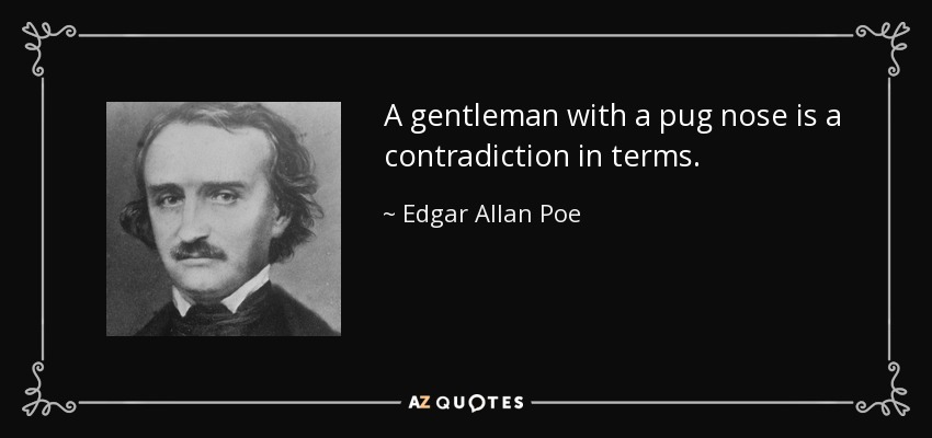 A gentleman with a pug nose is a contradiction in terms. - Edgar Allan Poe
