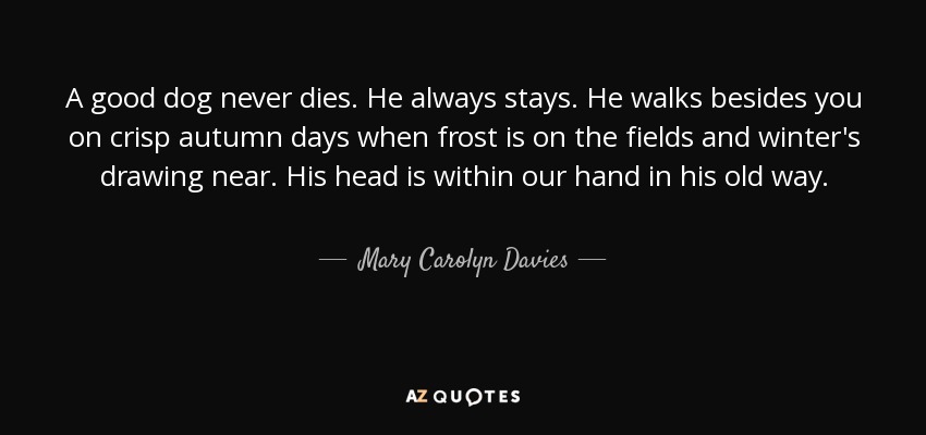 A good dog never dies. He always stays. He walks besides you on crisp autumn days when frost is on the fields and winter's drawing near. His head is within our hand in his old way. - Mary Carolyn Davies