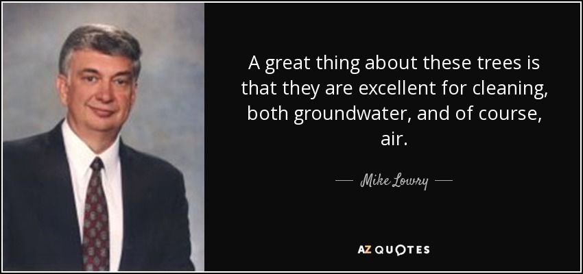 A great thing about these trees is that they are excellent for cleaning, both groundwater, and of course, air. - Mike Lowry