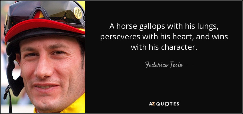 barrel racing quotes