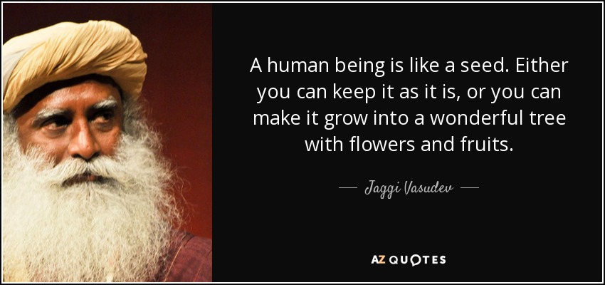 A human being is like a seed. Either you can keep it as it is, or you can make it grow into a wonderful tree with flowers and fruits. - Jaggi Vasudev