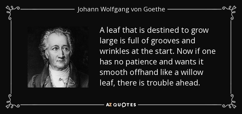A leaf that is destined to grow large is full of grooves and wrinkles at the start. Now if one has no patience and wants it smooth offhand like a willow leaf, there is trouble ahead. - Johann Wolfgang von Goethe