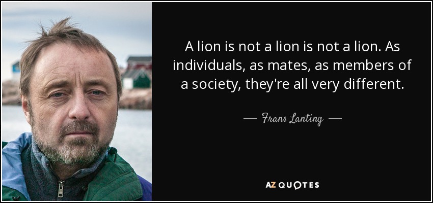 A lion is not a lion is not a lion. As individuals, as mates, as members of a society, they're all very different. - Frans Lanting