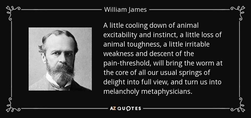 A little cooling down of animal excitability and instinct, a little loss of animal toughness, a little irritable weakness and descent of the pain-threshold, will bring the worm at the core of all our usual springs of delight into full view, and turn us into melancholy metaphysicians. - William James