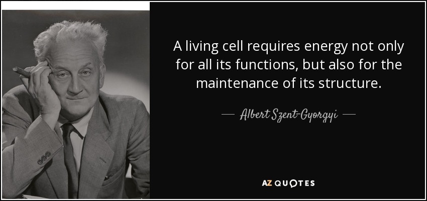 A living cell requires energy not only for all its functions, but also for the maintenance of its structure. - Albert Szent-Gyorgyi
