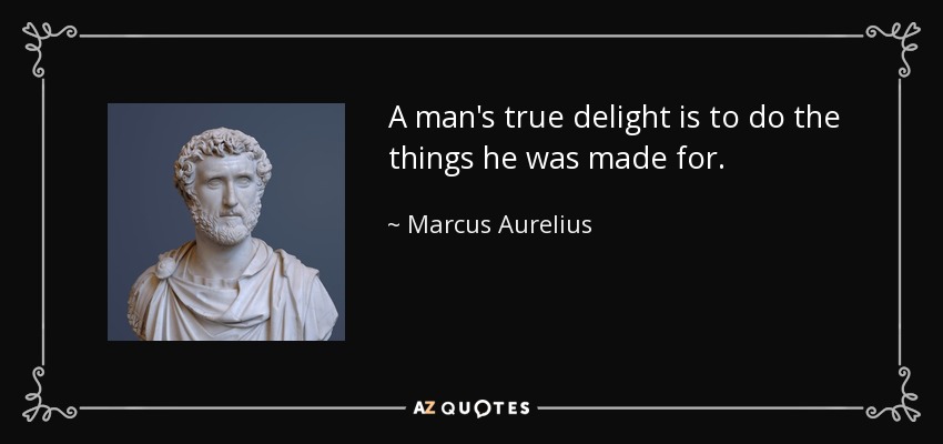 A man's true delight is to do the things he was made for. - Marcus Aurelius