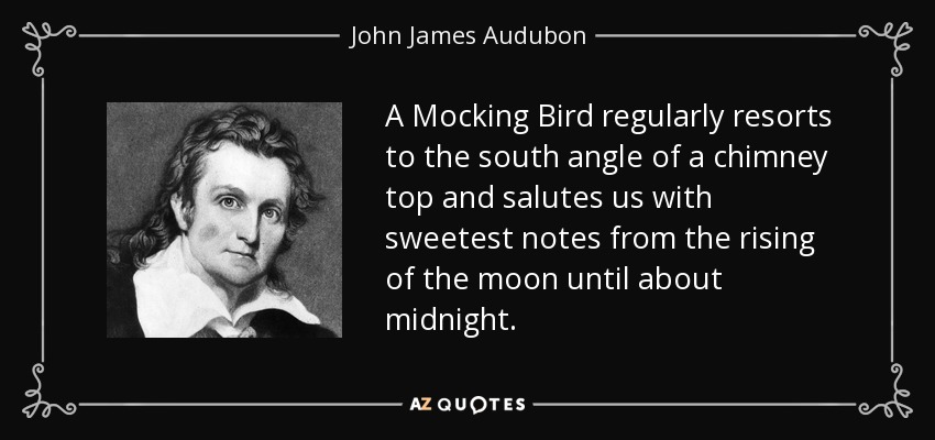 A Mocking Bird regularly resorts to the south angle of a chimney top and salutes us with sweetest notes from the rising of the moon until about midnight. - John James Audubon