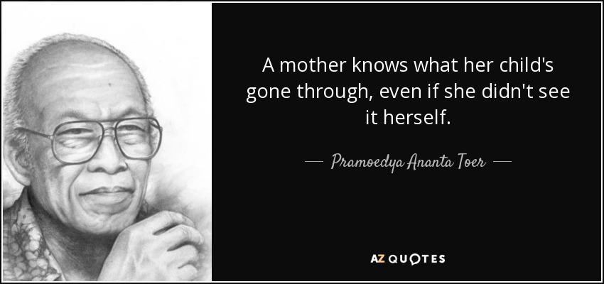 A mother knows what her child's gone through, even if she didn't see it herself. - Pramoedya Ananta Toer
