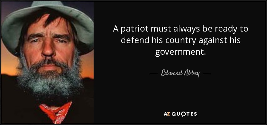 A patriot must always be ready to defend his country against his government. - Edward Abbey
