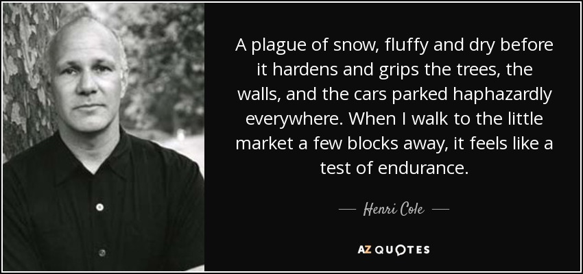 A plague of snow, fluffy and dry before it hardens and grips the trees, the walls, and the cars parked haphazardly everywhere. When I walk to the little market a few blocks away, it feels like a test of endurance. - Henri Cole