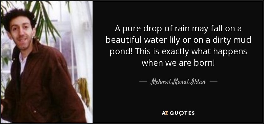 A pure drop of rain may fall on a beautiful water lily or on a dirty mud pond! This is exactly what happens when we are born! - Mehmet Murat Ildan