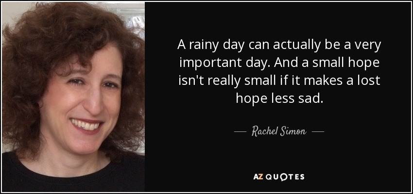 A rainy day can actually be a very important day. And a small hope isn't really small if it makes a lost hope less sad. - Rachel Simon