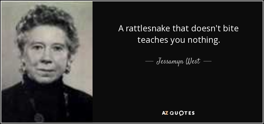 A rattlesnake that doesn't bite teaches you nothing. - Jessamyn West