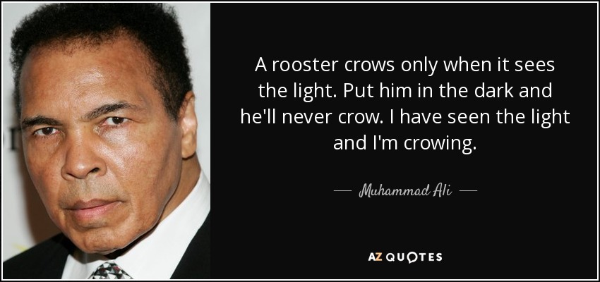 A rooster crows only when it sees the light. Put him in the dark and he'll never crow. I have seen the light and I'm crowing. - Muhammad Ali