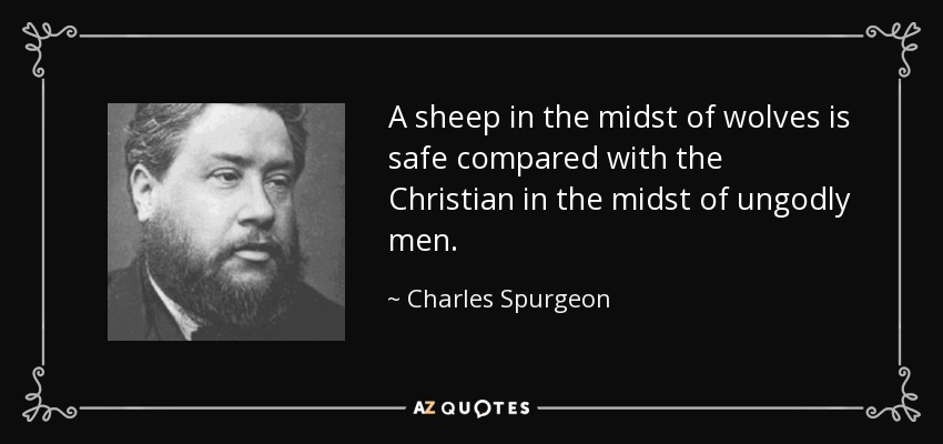 A sheep in the midst of wolves is safe compared with the Christian in the midst of ungodly men. - Charles Spurgeon