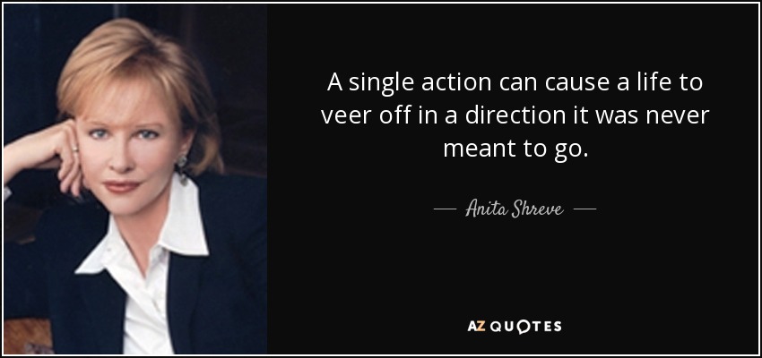 A single action can cause a life to veer off in a direction it was never meant to go. - Anita Shreve