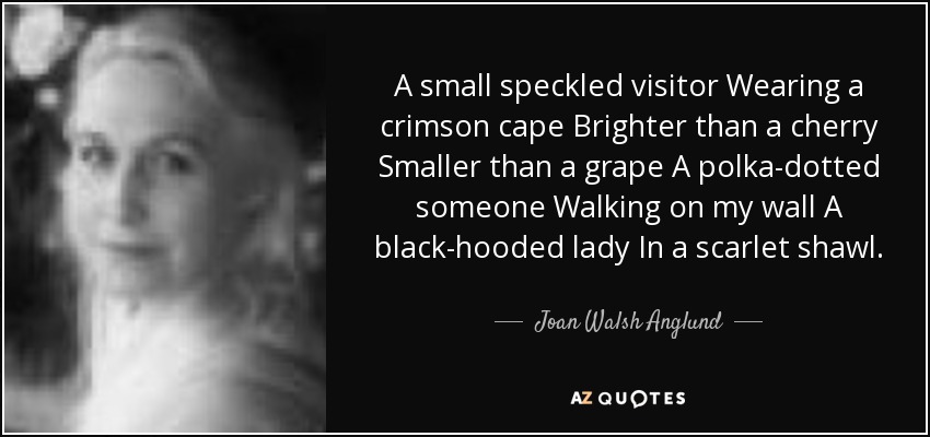 A small speckled visitor Wearing a crimson cape Brighter than a cherry Smaller than a grape A polka-dotted someone Walking on my wall A black-hooded lady In a scarlet shawl. - Joan Walsh Anglund