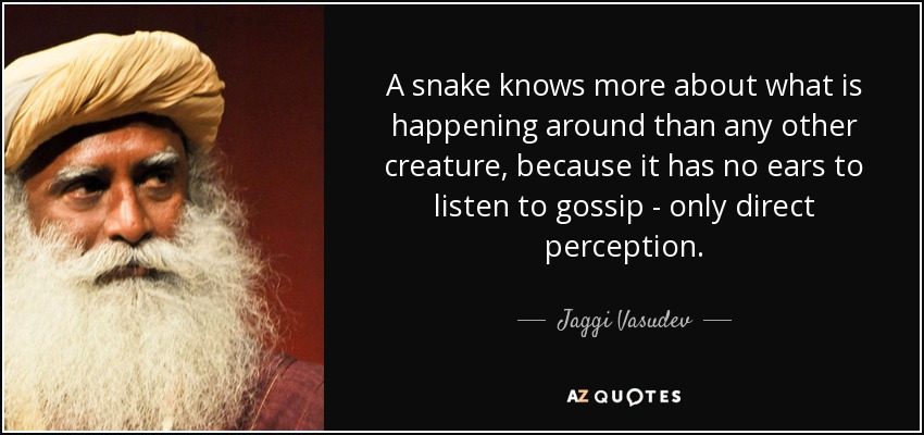 A snake knows more about what is happening around than any other creature, because it has no ears to listen to gossip - only direct perception. - Jaggi Vasudev