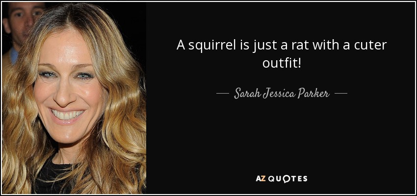 A squirrel is just a rat with a cuter outfit! - Sarah Jessica Parker