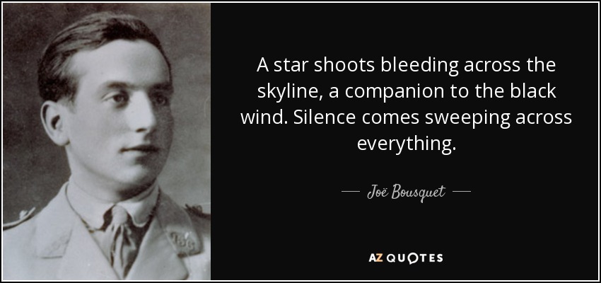 A star shoots bleeding across the skyline, a companion to the black wind. Silence comes sweeping across everything. - Joë Bousquet