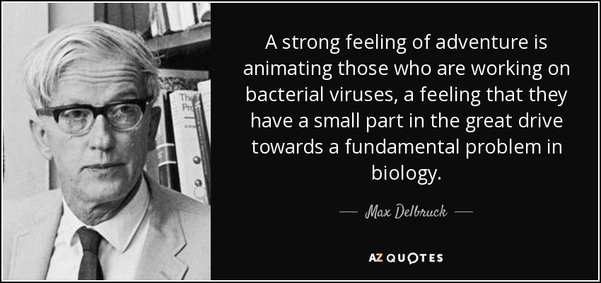 A strong feeling of adventure is animating those who are working on bacterial viruses, a feeling that they have a small part in the great drive towards a fundamental problem in biology. - Max Delbruck