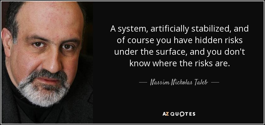 A system, artificially stabilized, and of course you have hidden risks under the surface, and you don't know where the risks are. - Nassim Nicholas Taleb