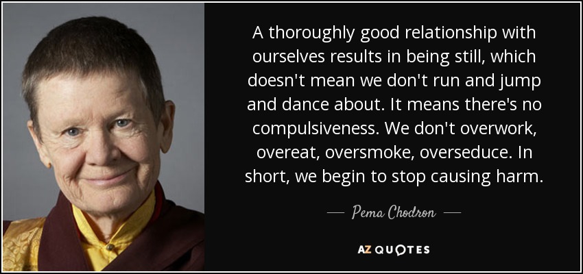 A thoroughly good relationship with ourselves results in being still, which doesn't mean we don't run and jump and dance about. It means there's no compulsiveness. We don't overwork, overeat, oversmoke, overseduce. In short, we begin to stop causing harm. - Pema Chodron