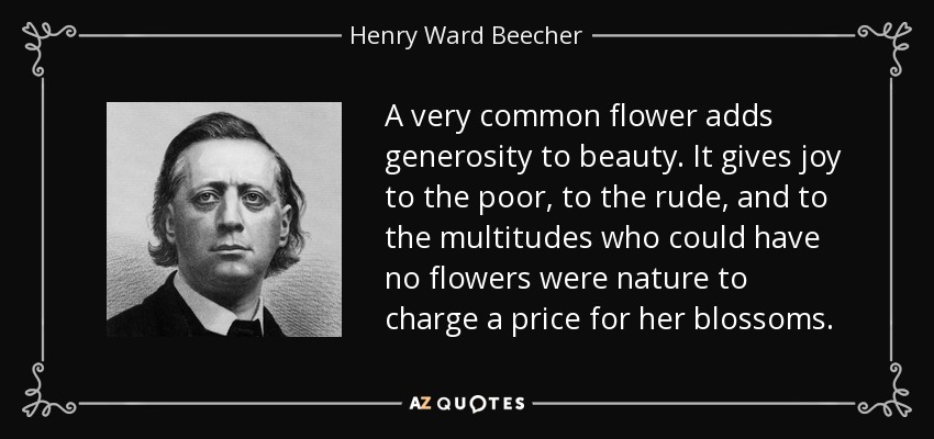 A very common flower adds generosity to beauty. It gives joy to the poor, to the rude, and to the multitudes who could have no flowers were nature to charge a price for her blossoms. - Henry Ward Beecher