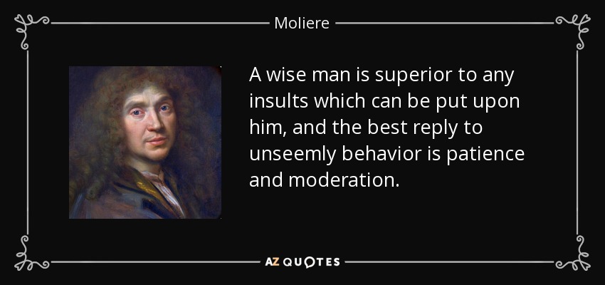 A wise man is superior to any insults which can be put upon him, and the best reply to unseemly behavior is patience and moderation. - Moliere