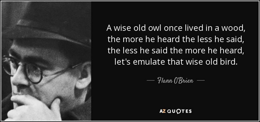 A wise old owl once lived in a wood, the more he heard the less he said, the less he said the more he heard, let's emulate that wise old bird. - Flann O'Brien