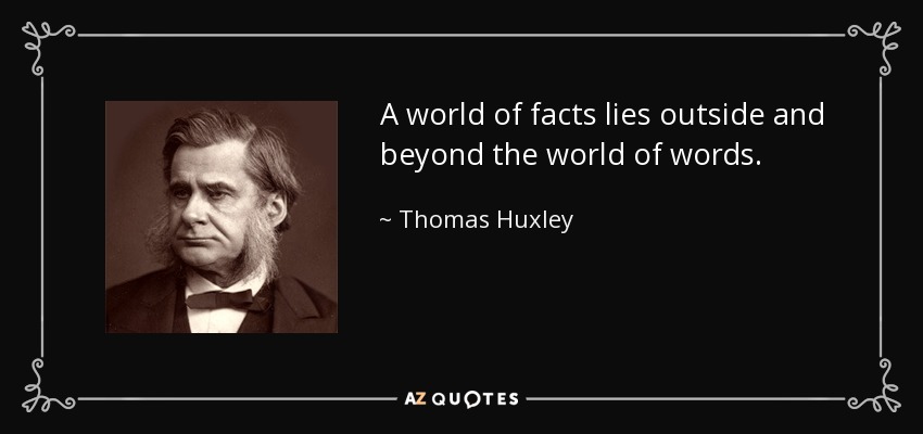 A world of facts lies outside and beyond the world of words. - Thomas Huxley