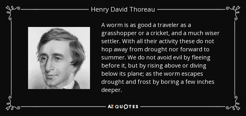 A worm is as good a traveler as a grasshopper or a cricket, and a much wiser settler. With all their activity these do not hop away from drought nor forward to summer. We do not avoid evil by fleeing before it, but by rising above or diving below its plane; as the worm escapes drought and frost by boring a few inches deeper. - Henry David Thoreau