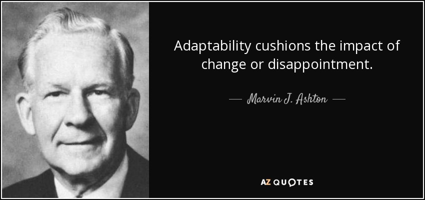 Adaptability cushions the impact of change or disappointment. - Marvin J. Ashton